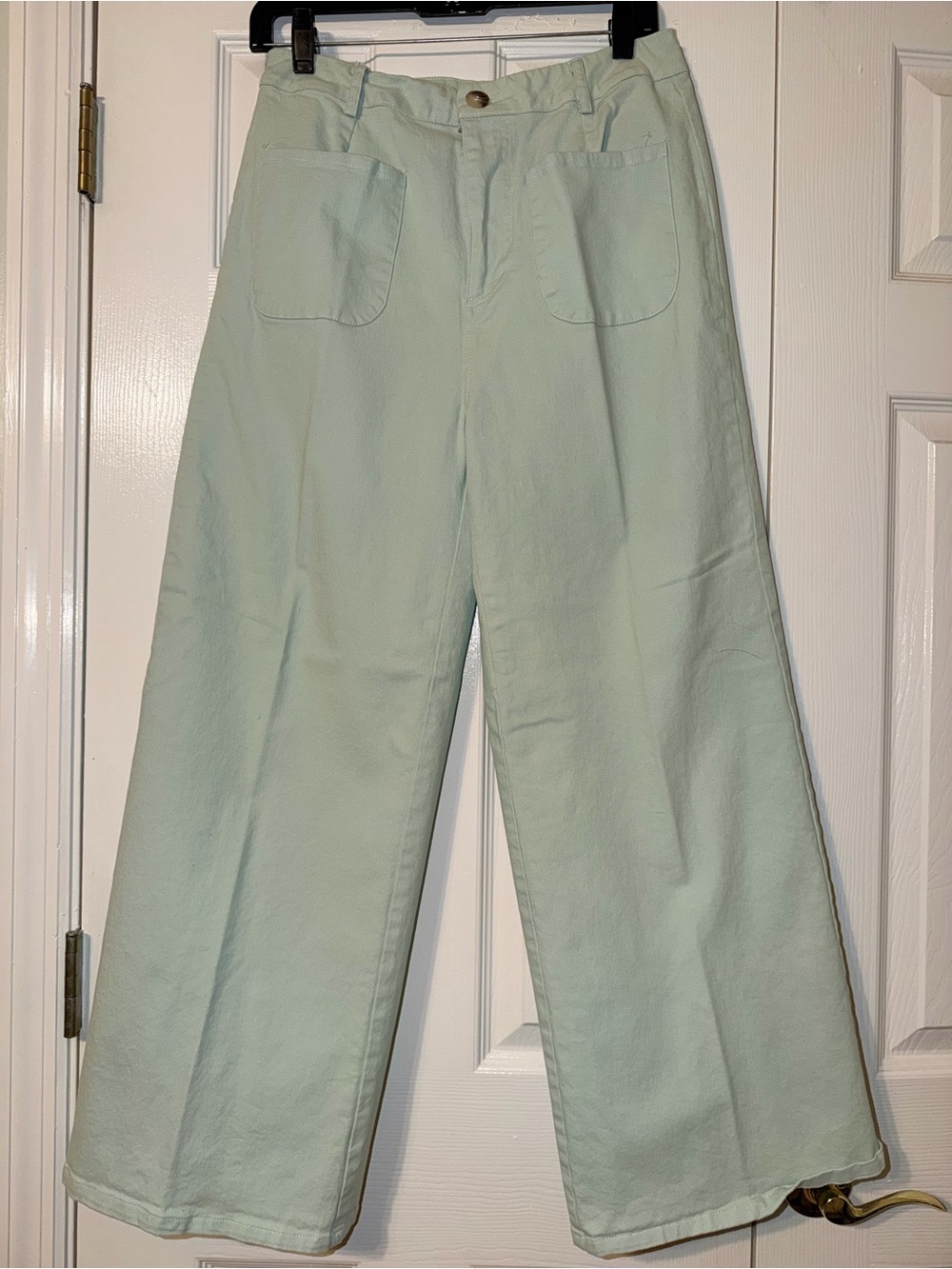 entro Light Mint Wide-Leg Men's Chinos